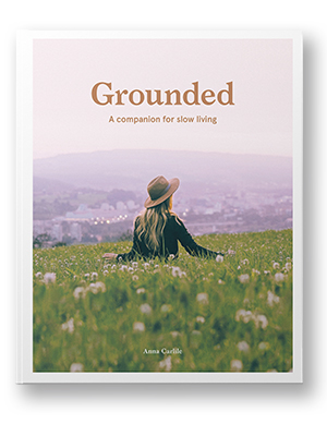 Grounded book cover 